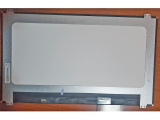 NV166FHM-N41