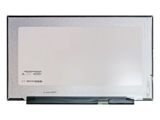LP173WFG-SPB1