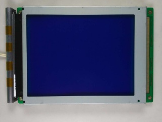 DMF-50174